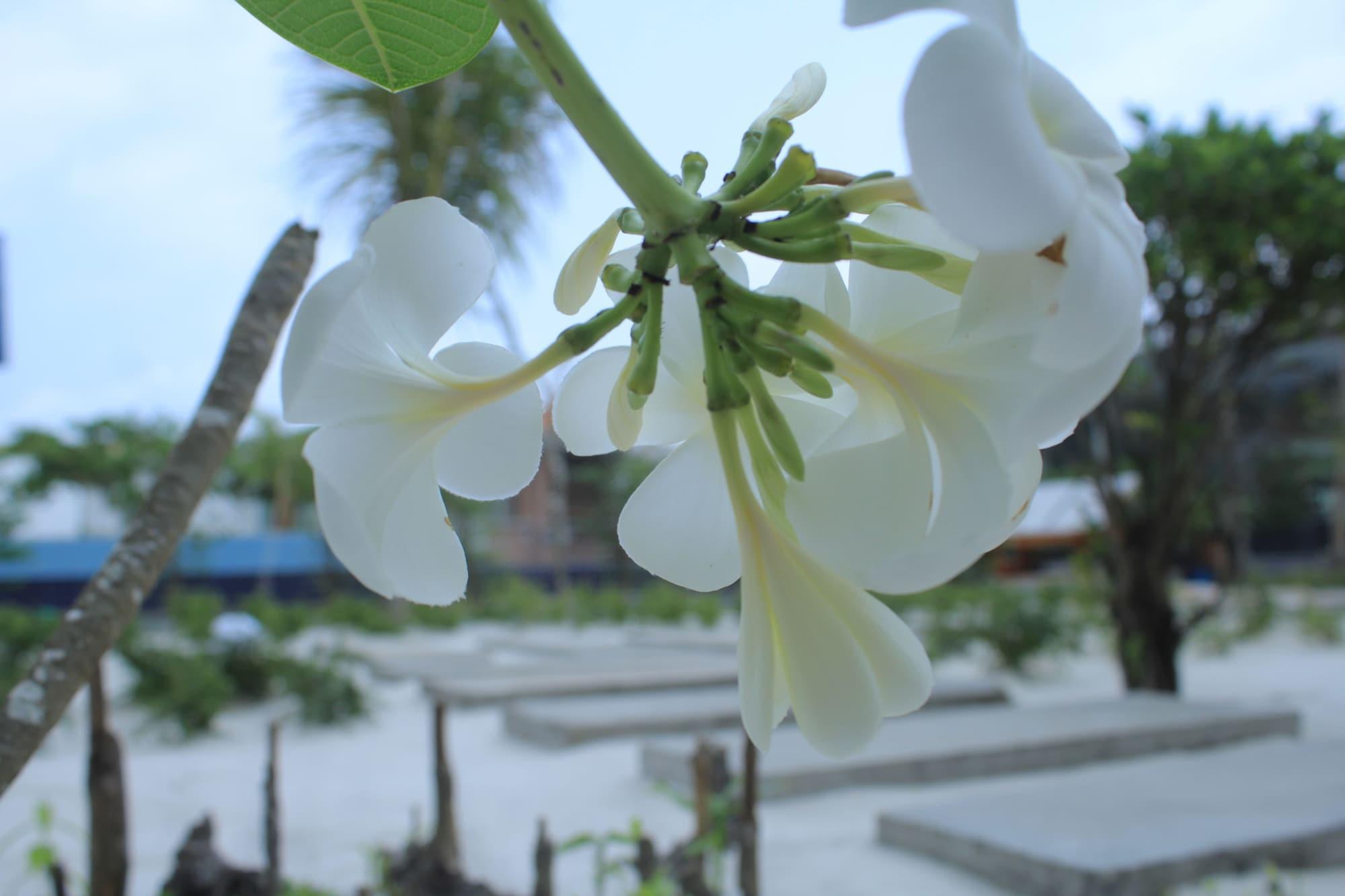 Long Set Resort Kaoh Touch Exterior foto